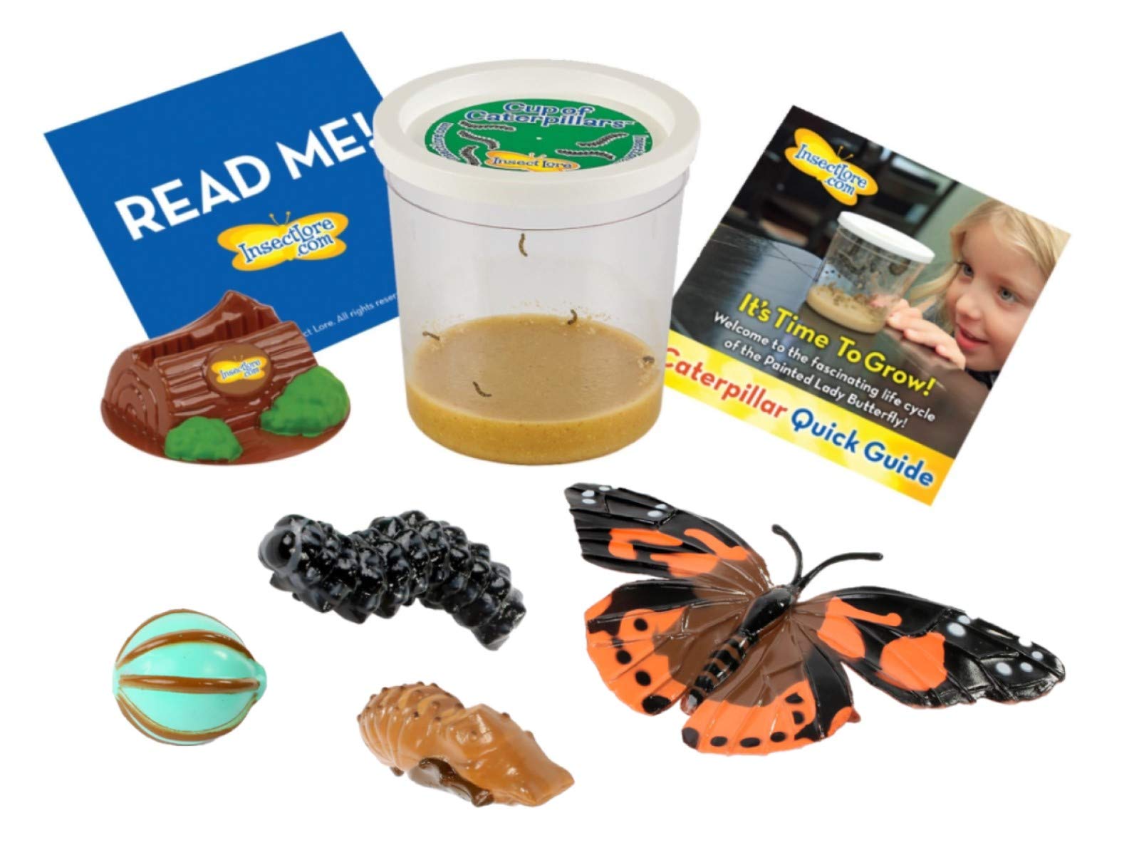 Buy (1 Live Cup of Caterpillars with Stages) 5 LIVE Caterpillars
