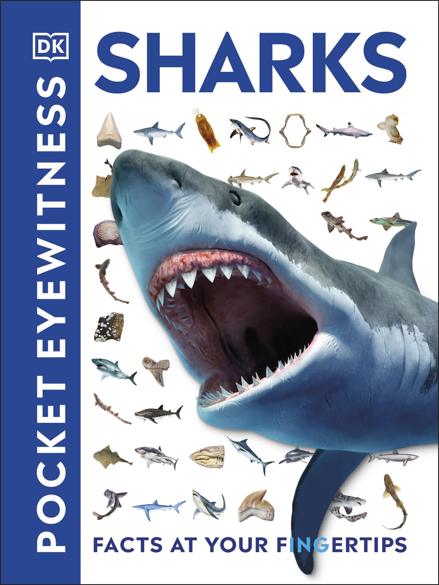 Pocket Eyewitness Sharks Facts at Your Fingertips by DK (Paperback Book)