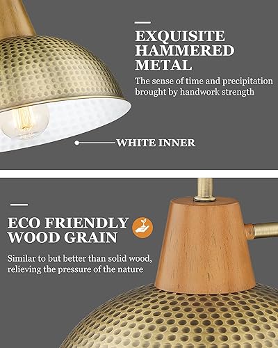 Miniatura 2 de HWH 5HZG70B-PC BG - Lámpara de porche para pared al aire libre, aplique de pared de granero de cuello de cisne con pantalla de metal martillado,