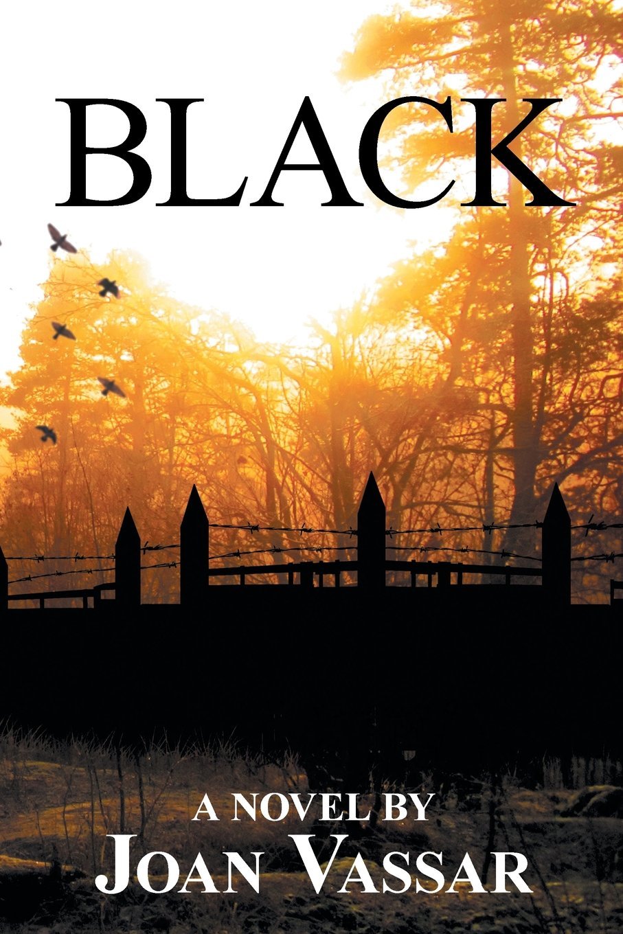 Black: Volume 1 (The Black Series)