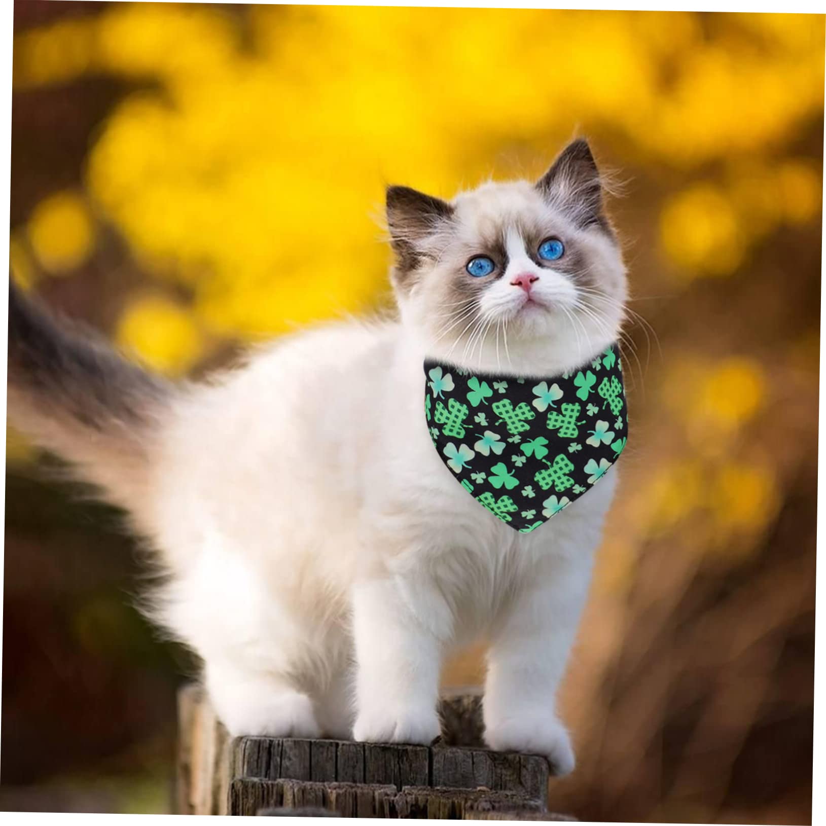 BESPORTBLE 12piezas Bufanda Creativa para Mascotas Bandana Ligera y Duradera para Perros y Gatos Accesorio para Fiestas Bodas y Uso Diario Diseño Divertido y Moderno para Fotografía y