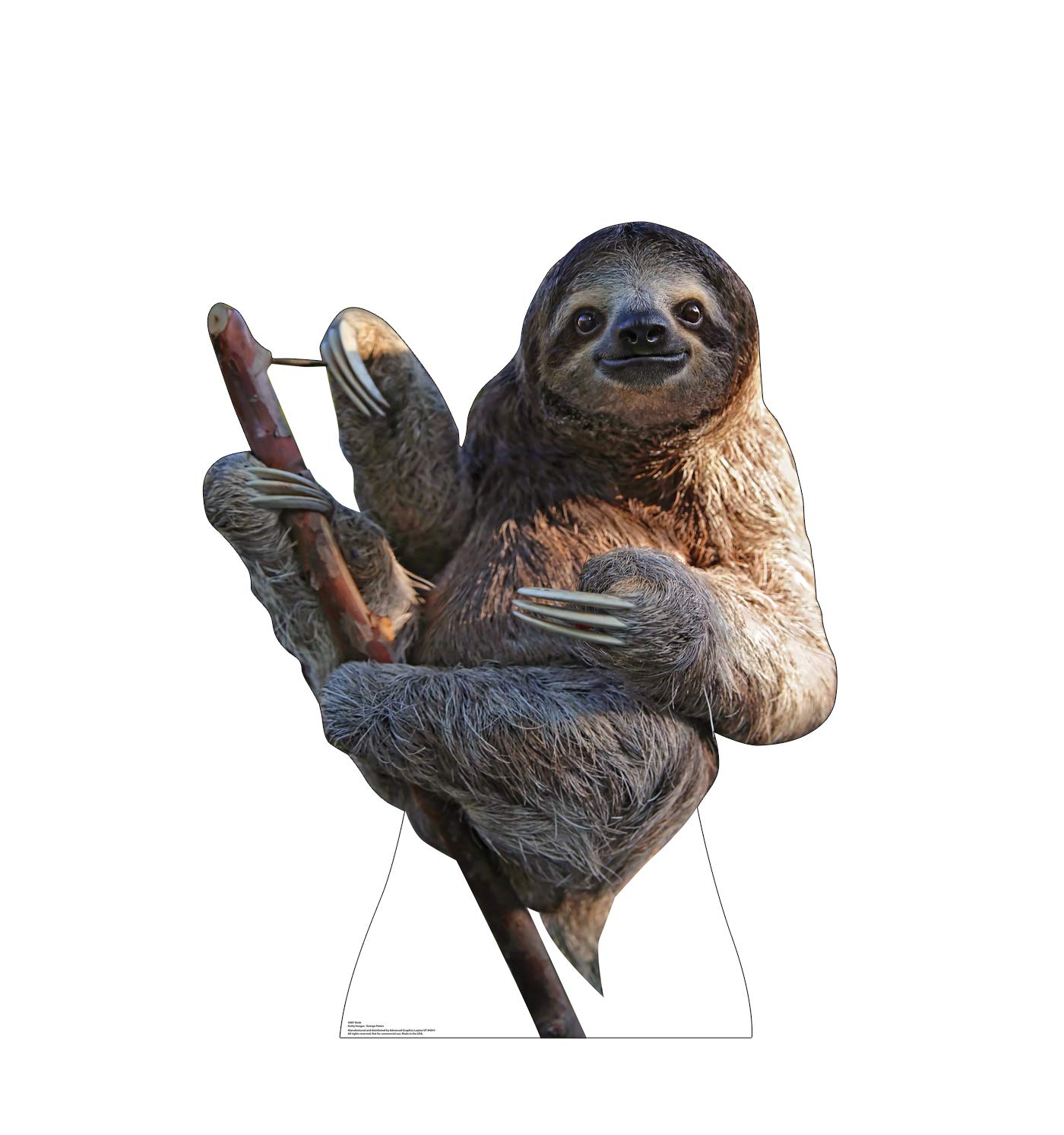 Cardboard People Sloth Life Size Cardboard Cutout Standup
