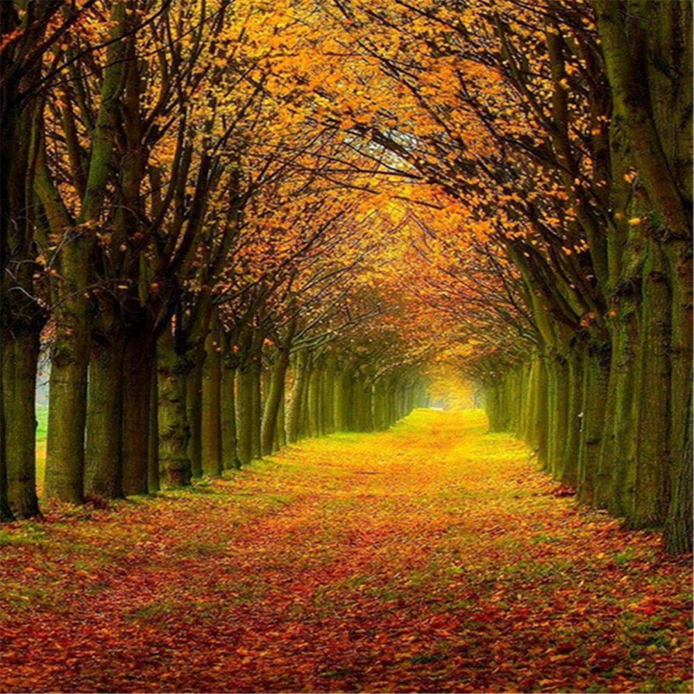Rompecabezas de 5000 Piezas,Dedo y mariposa,Puzzles para Adultos,5000 Piezas Jigsaw Puzzles Infantiles descompresión,Rompecabezas de Piso Juego de Juego Familiar y Rompecabezas-61.61x41.53 pulgadas (