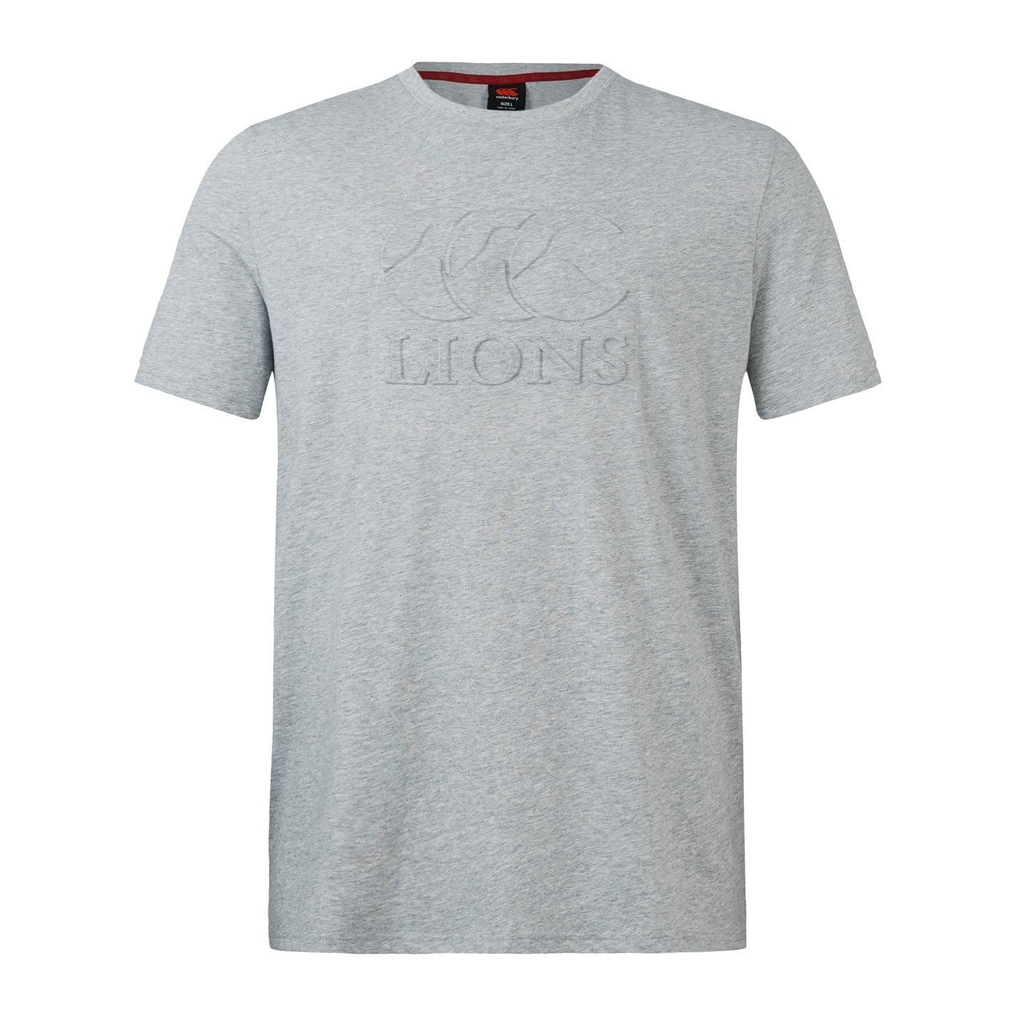 Canterbury British Irish Lions 2025 Monument Tee Grey