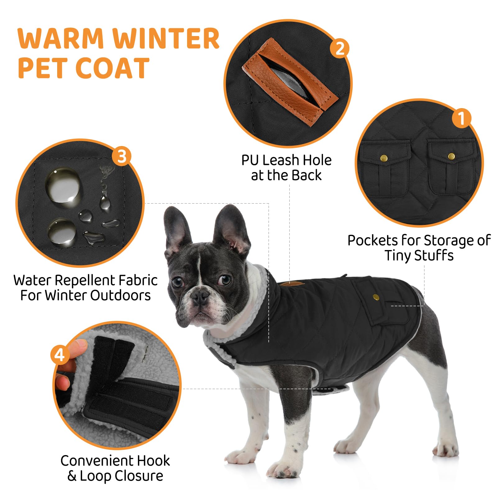 Queenmore Cappotto Cane Piccolo Caldo Impermeabile Per Chihuahua, Maltese, Bassotto, Bulldog Francese, Nero, S