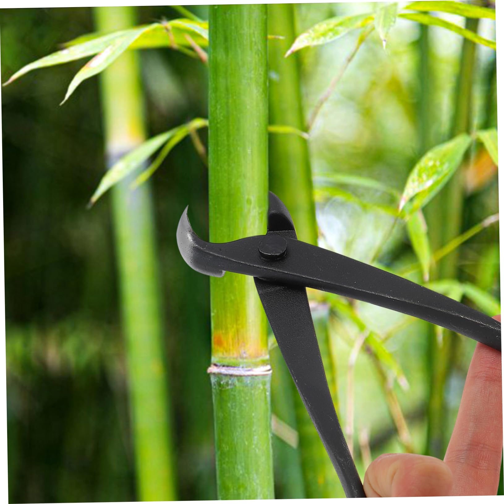 Toddmomy Cutter Per Potatura Forbice Concava Per Bonsai Strumento Resistente e Facile Usare Per Del Giardinaggio