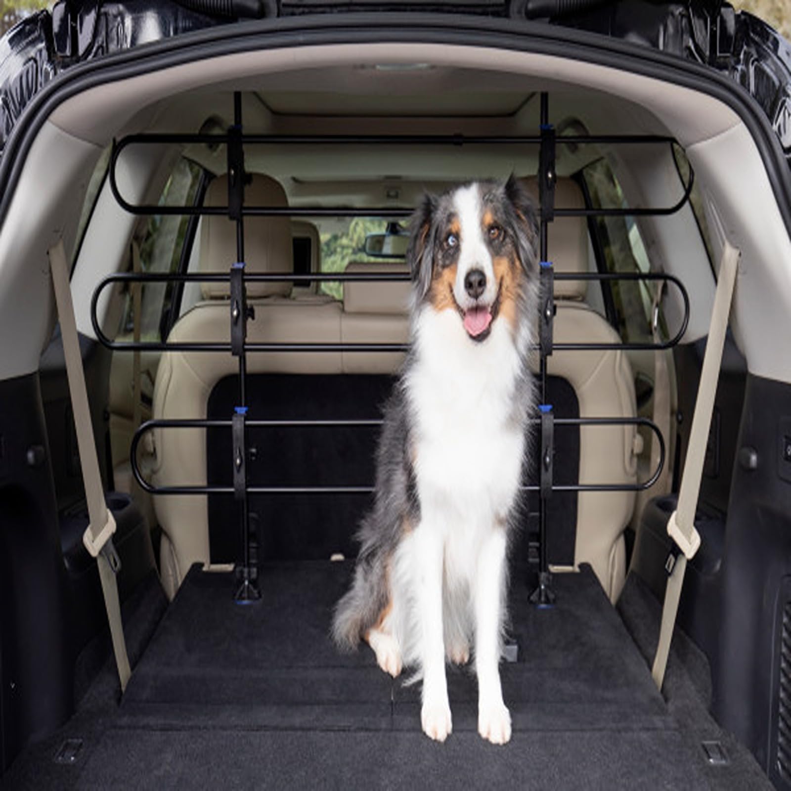 Petsafe Metall-Teiler für Hunde im Auto, passend für die meisten Autos und Minivans