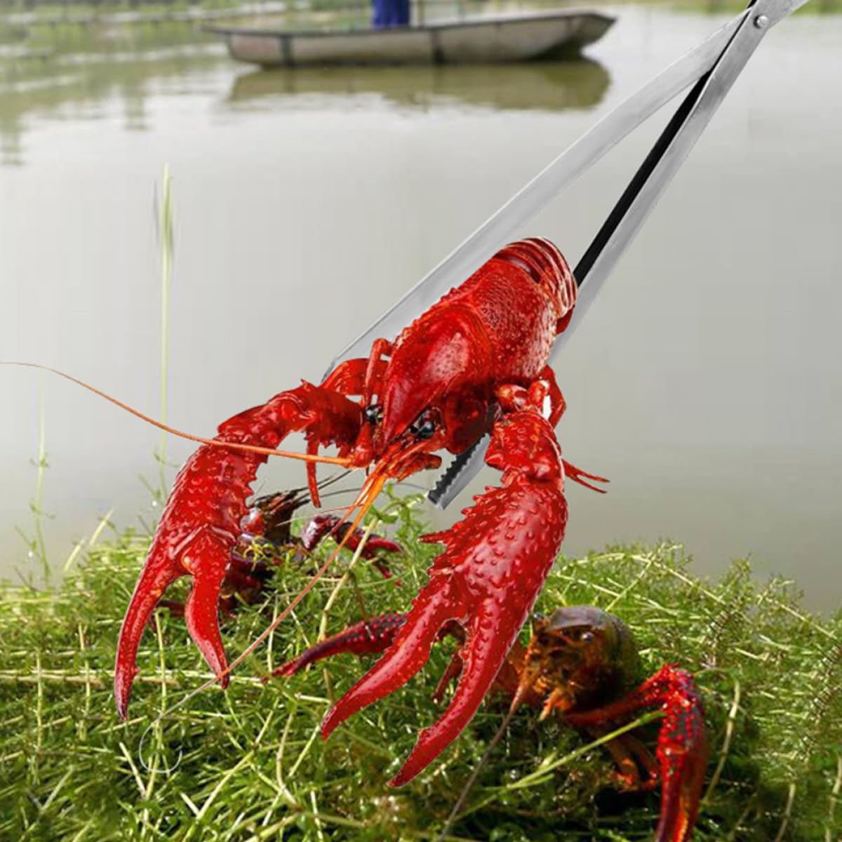 HANABASS Pinza per Granchi Multifunzione in Acciaio Inox Resistente Morsetto Antiscivolo, Tenaglia per Aragosta e Anguille, Strumento Leggero per Pesca e Raccolta in Esterno