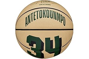 Giannis Antetokounmpo NBA Player Icon Outdoor Basketballs