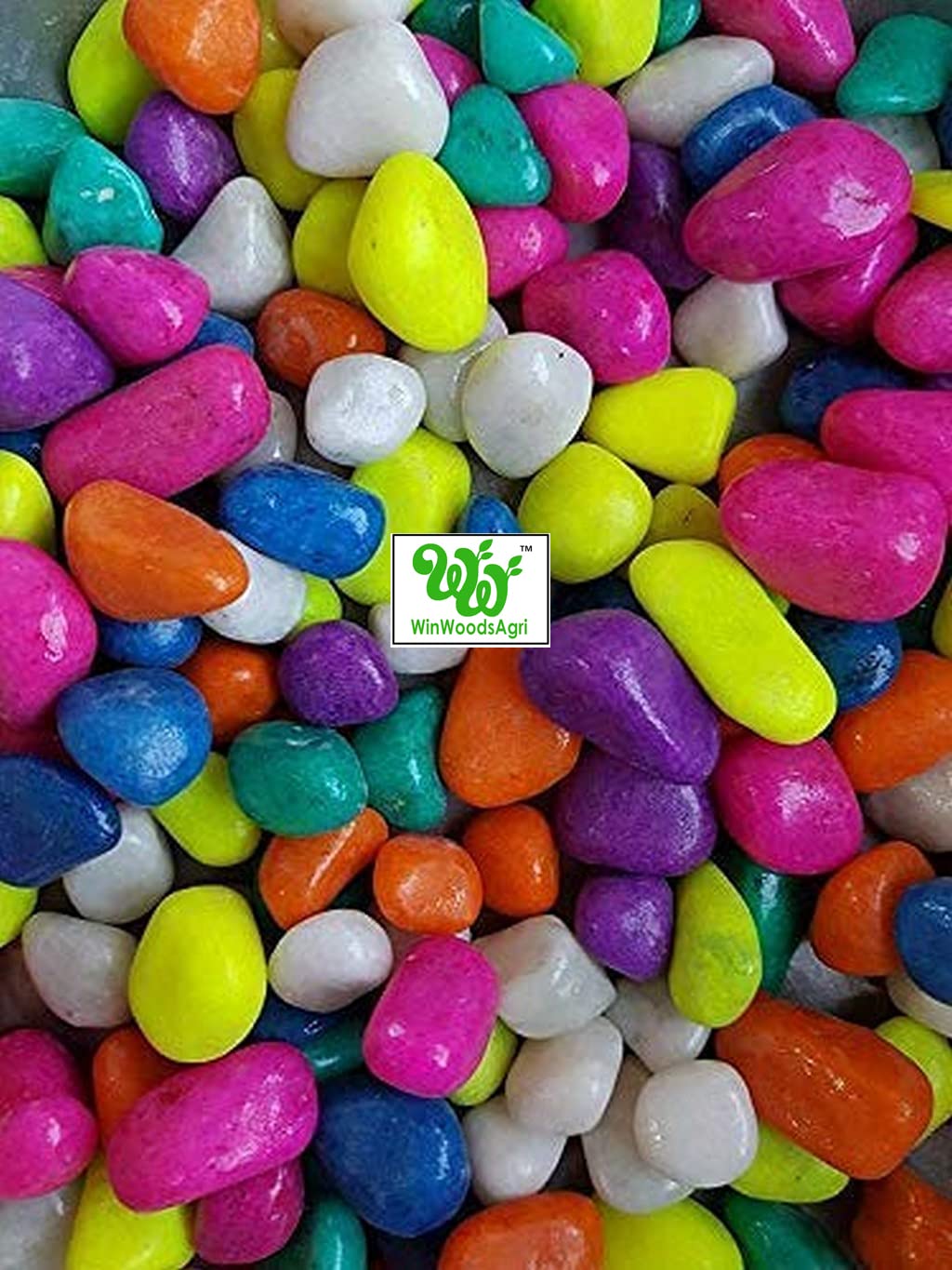 WinWoods agri Multi Colors Pebbles 1 KG/Aquarium Stone/Garden Decoration Pebbles (B09QZVL11G) Amazon Price History, Amazon Price Tracker