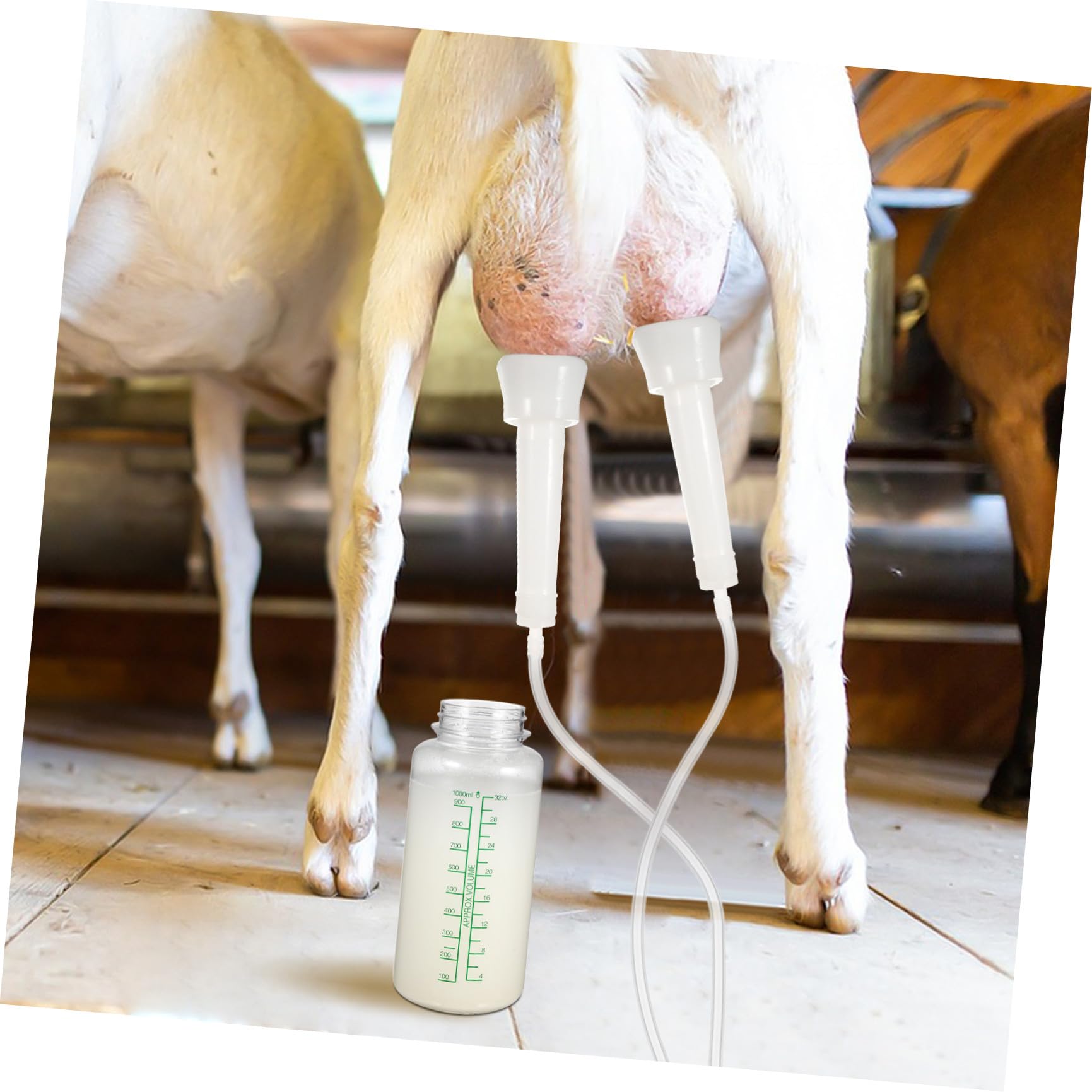 ibasenice Macchina la Mungitura Manuale di Mucche e Pecore, Mungitrice Portatile in Plastica, Kit Compatto per Allevamenti e Uso Domestico, Forniture Agricole per Bestiame