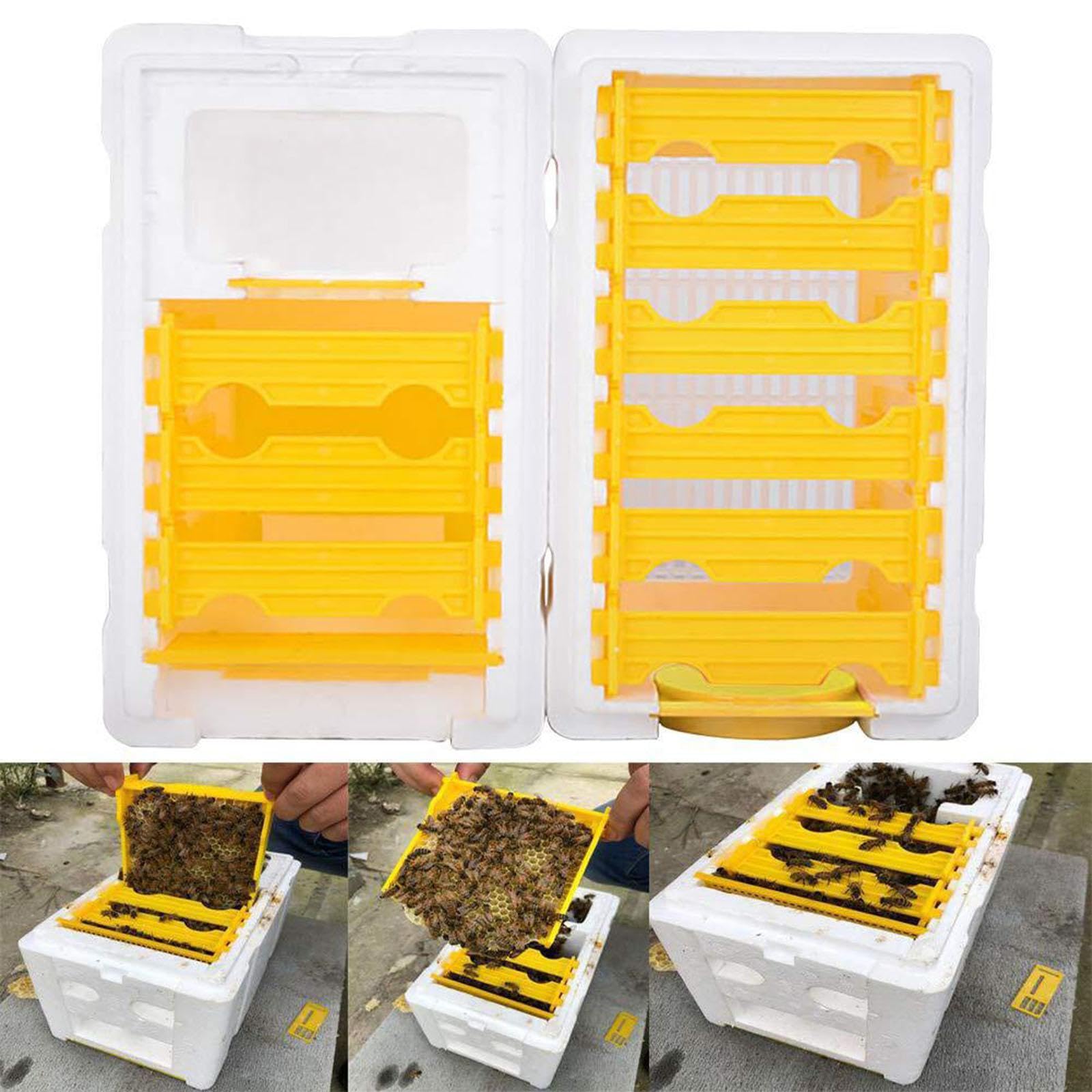 Boîte à Reines, Matériel Apicole Portable, Mini de Fécondation pour Balcon et Jardin, Jaune