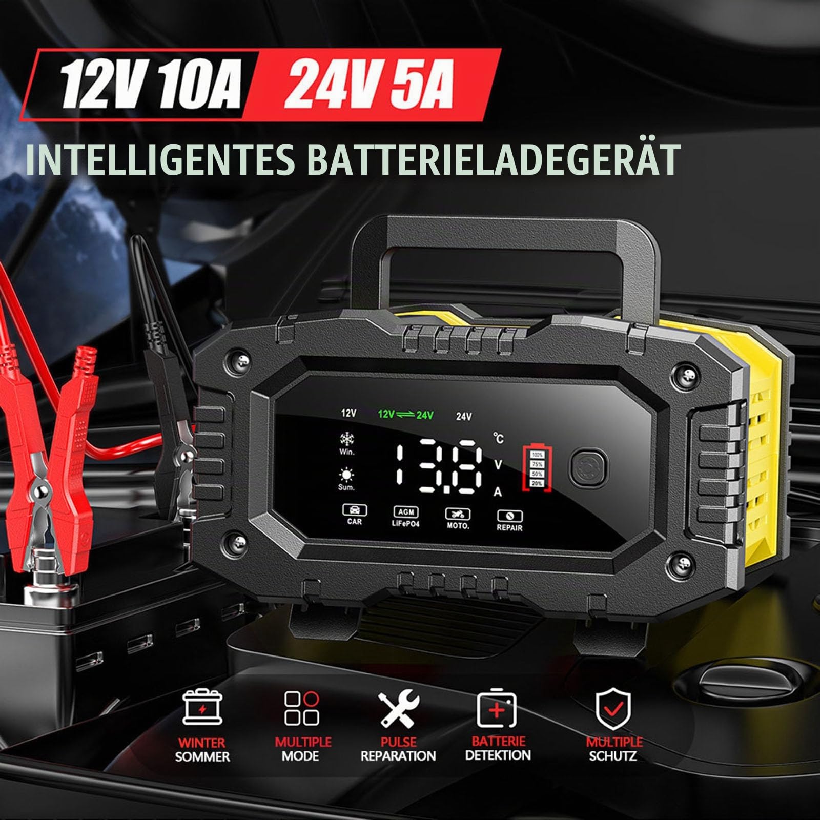 12V/24V 8A 10A 20A Ladegerät für Autobatterie Auto Batterie Ladegerät (10, Ampere)
