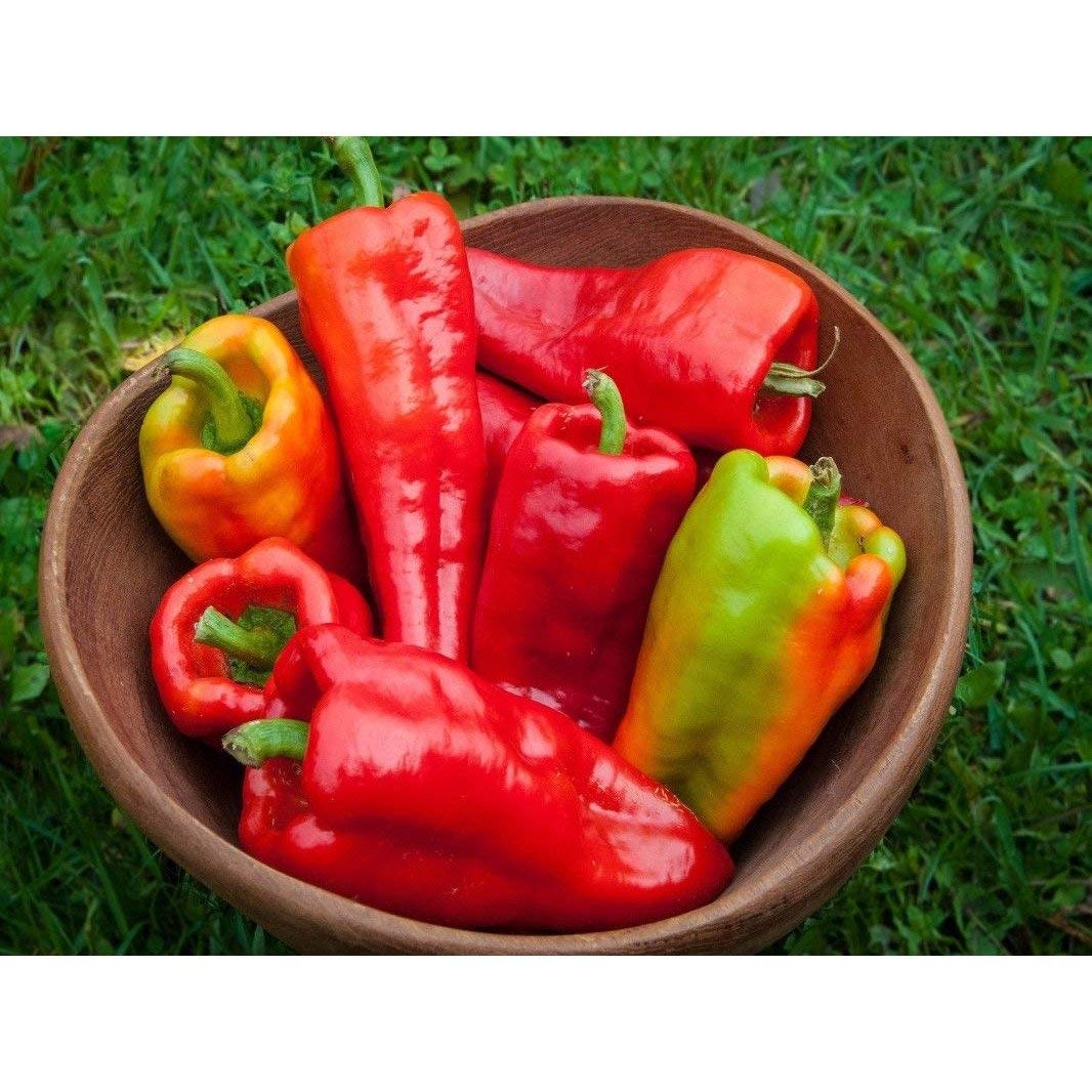 Beaver Dam Hot Pepper Seeds (60+ Seed Package)