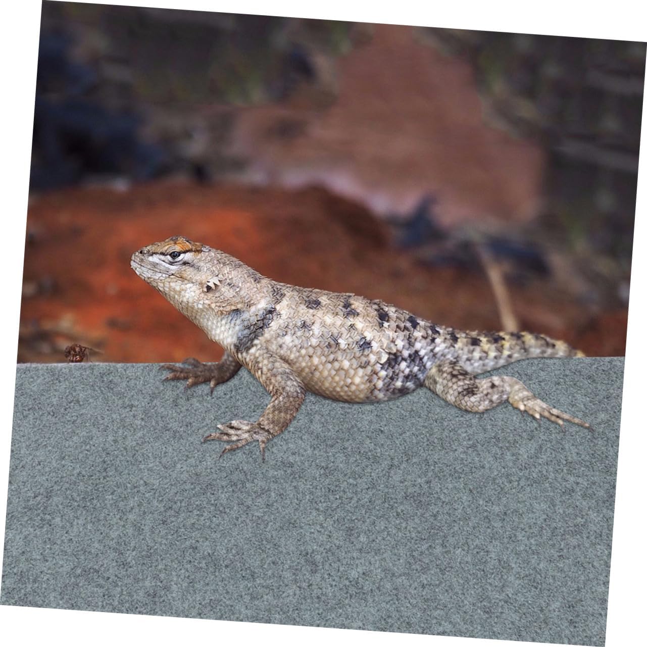 BESPORTBLE 2pcs Reptile Material Liner Pet Supplies Reptile Mat Lizard Liner Mat Heat Preservation Substrate Carpet