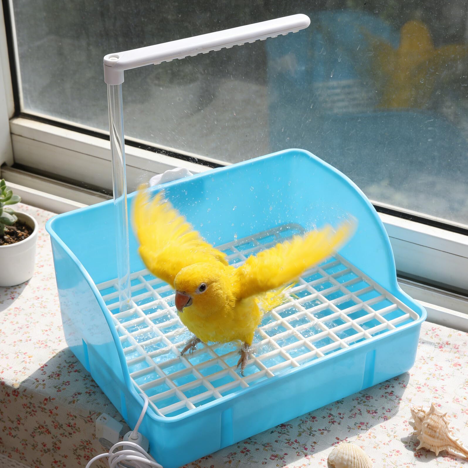 Veemoon Baño para Loros Sistema de Circulación Silencioso, Bañera Colgante de Plástico Azul para Periquitos y Cacatúas, Suministros para Aves, Cuenco Baño Portátil para Jaulas