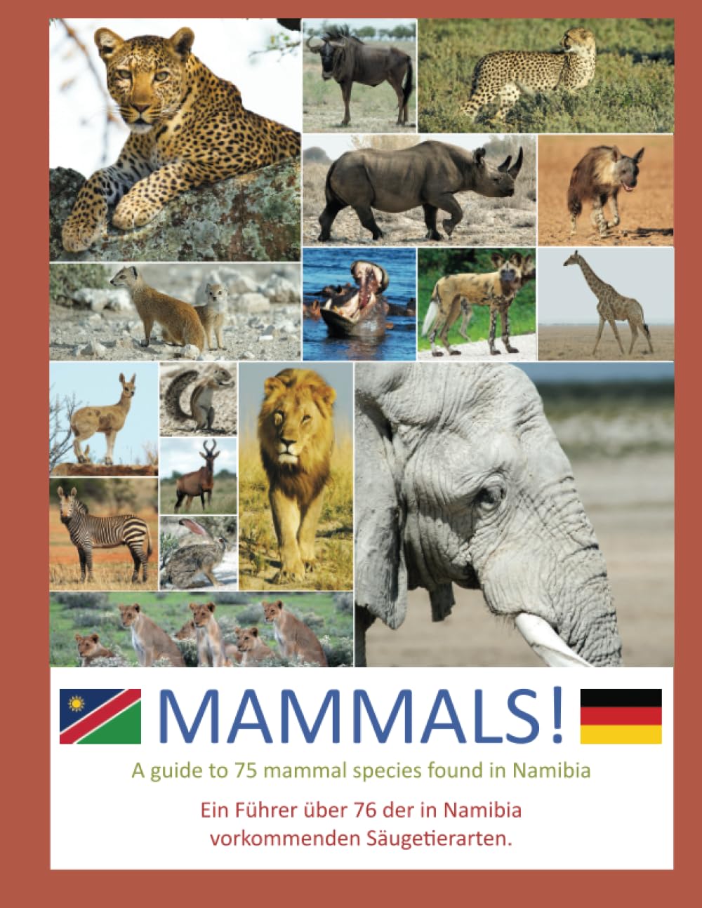 Mammals!: A guide to 75 mammal species found in Namibia. (Namibia Booklets)