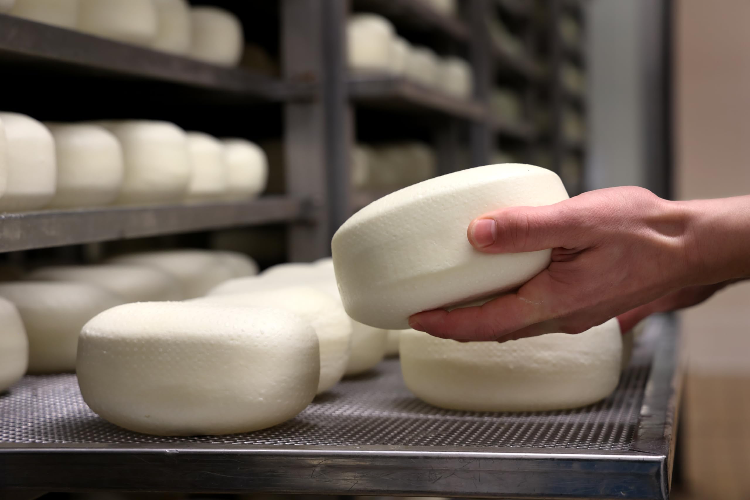 Fattoria Buca Nuova Pecorino di Pienza Fresco Morbido