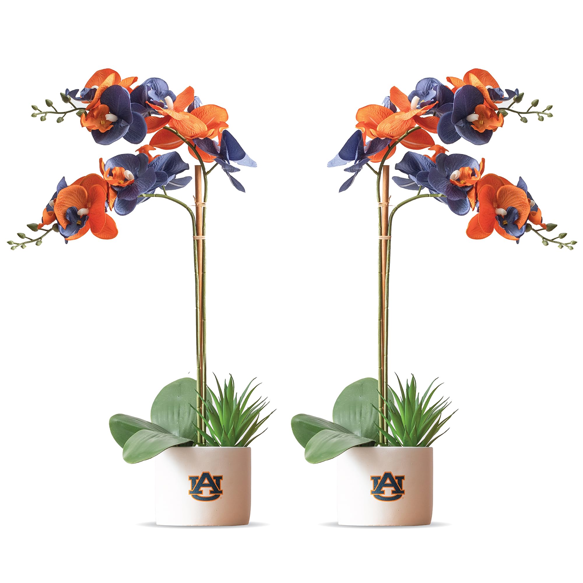Décorations de tigres auburn pour le bureau : lot d'orchidées
