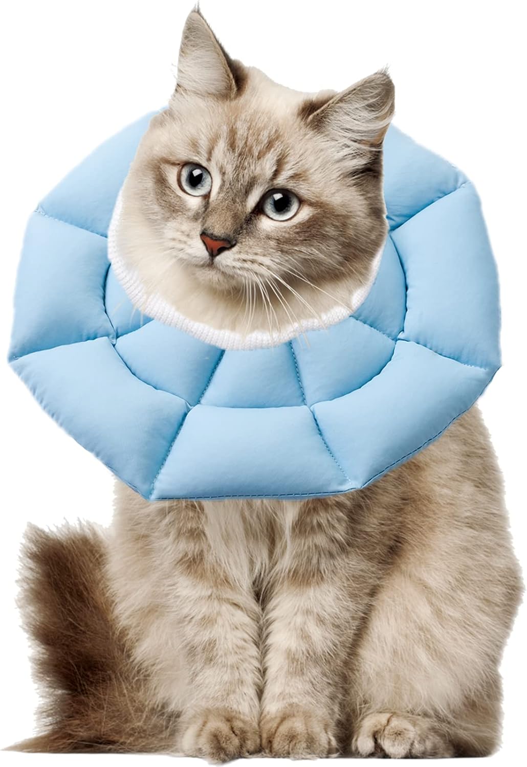 comfortable cat cone