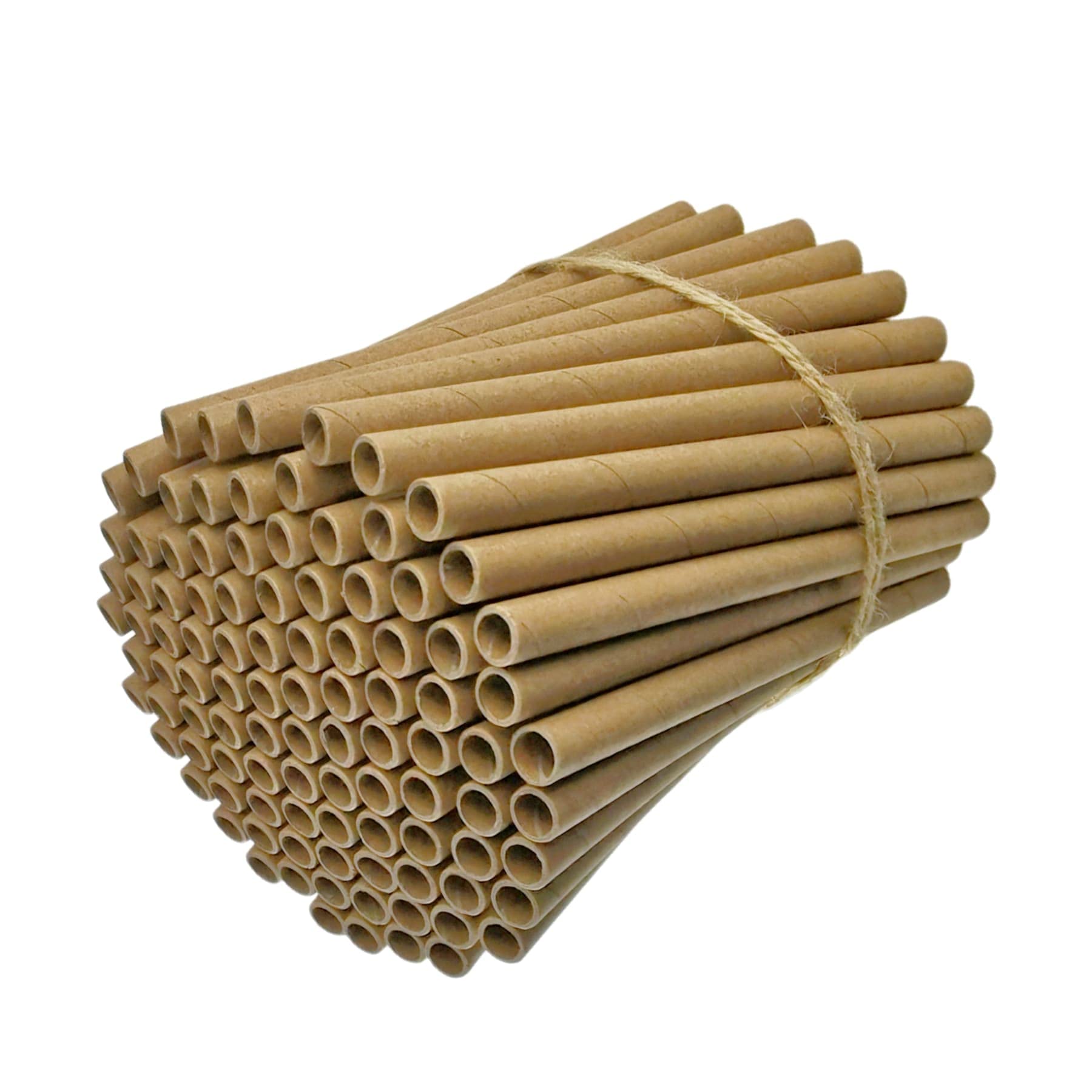Lot de 200 tubes de nidification en carton pour insectes, excellentes recharges de papier ou inserts/doublures pour créer votre propre maison d'abeilles