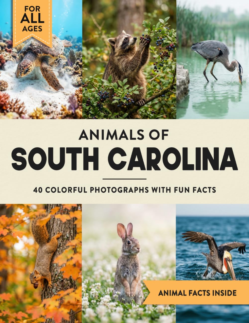 Animals of South Carolina: Learn All About Palmetto State Wildlife in a Fun Fact Picture Book for Kids and Adults