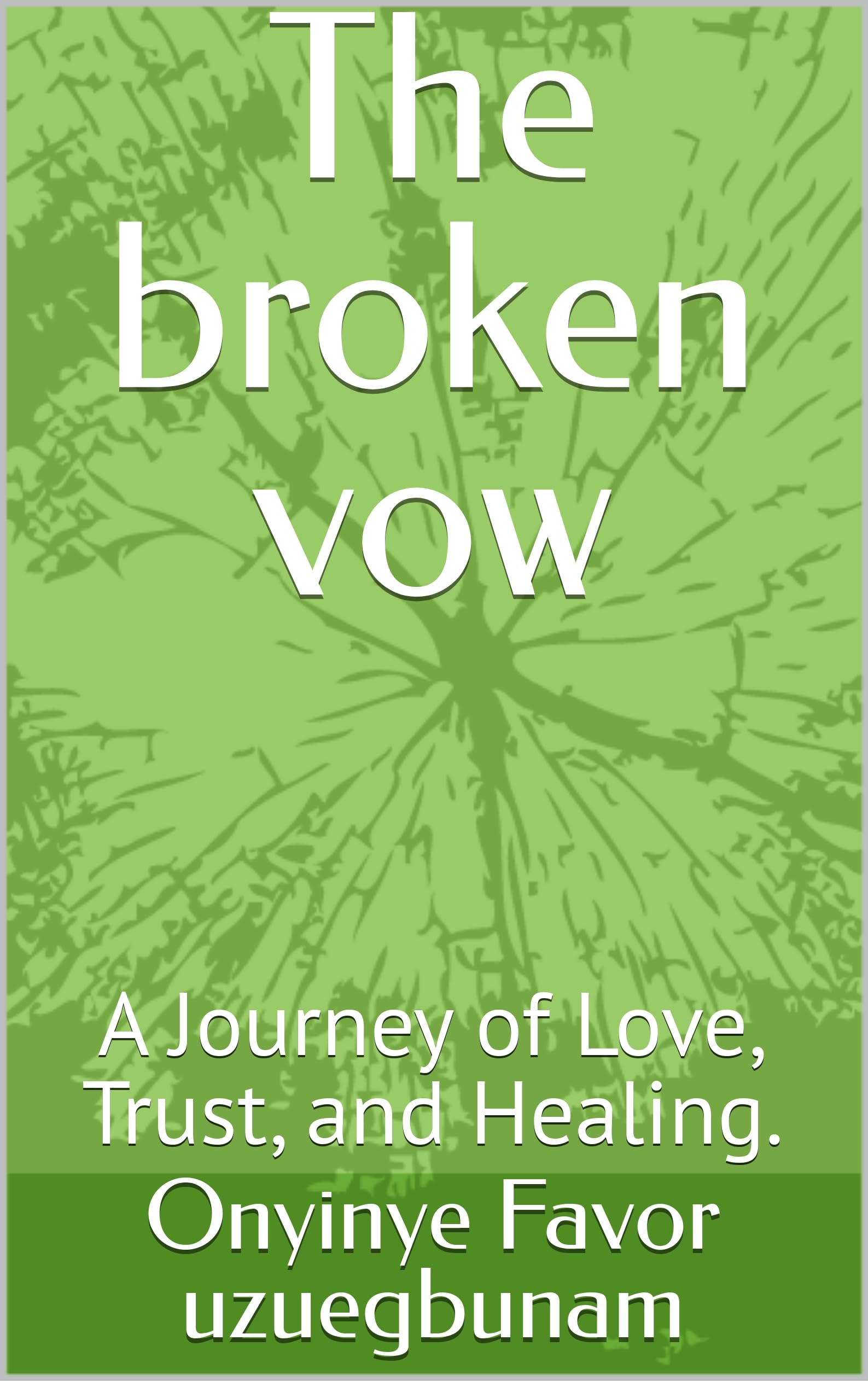 The broken vow : A Journey of Love, Trust, and Healing. (English Edition)