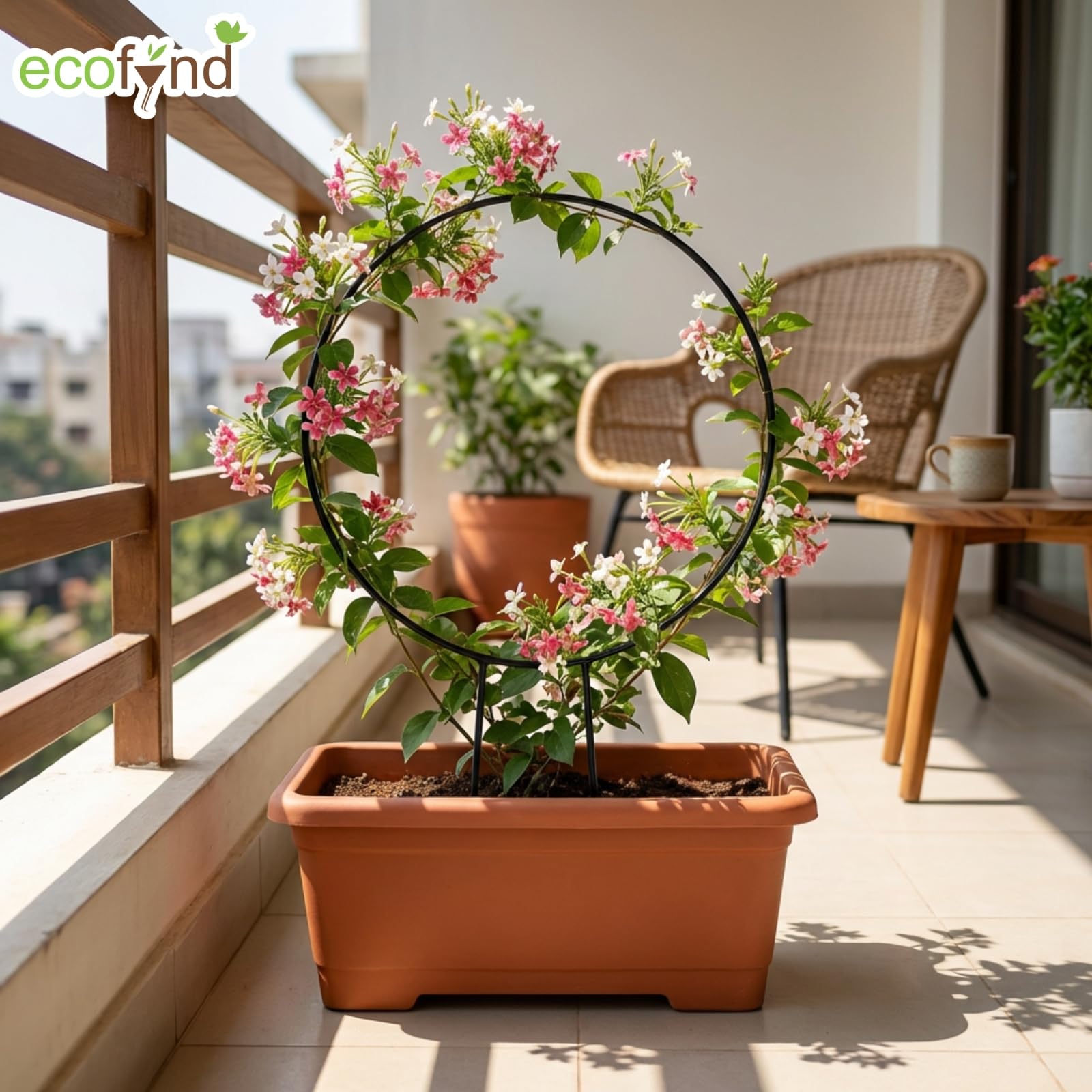 ecofynd Metal Garden Trellis for Climbing Plants, Round Shape Plant Support Stake, Single Stem Flower Support Frame for Vines, Indoor Outdoor Garden Decor, Easy Install Support Stand (Pack 2, Black) 3