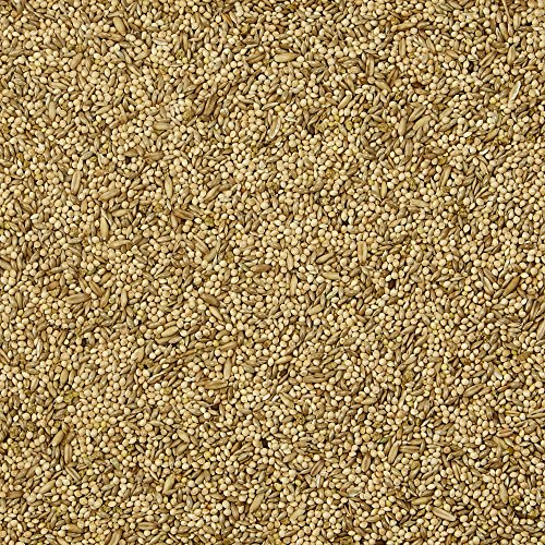 Kaytee Supreme Bird Food For Parakeets, 5-Lb Bag #TOP2