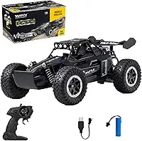 Carro de Corrida Controle Remoto RC 1:16 Off-Road 20km/h Carrinho de Alta Velocidade (Preto)