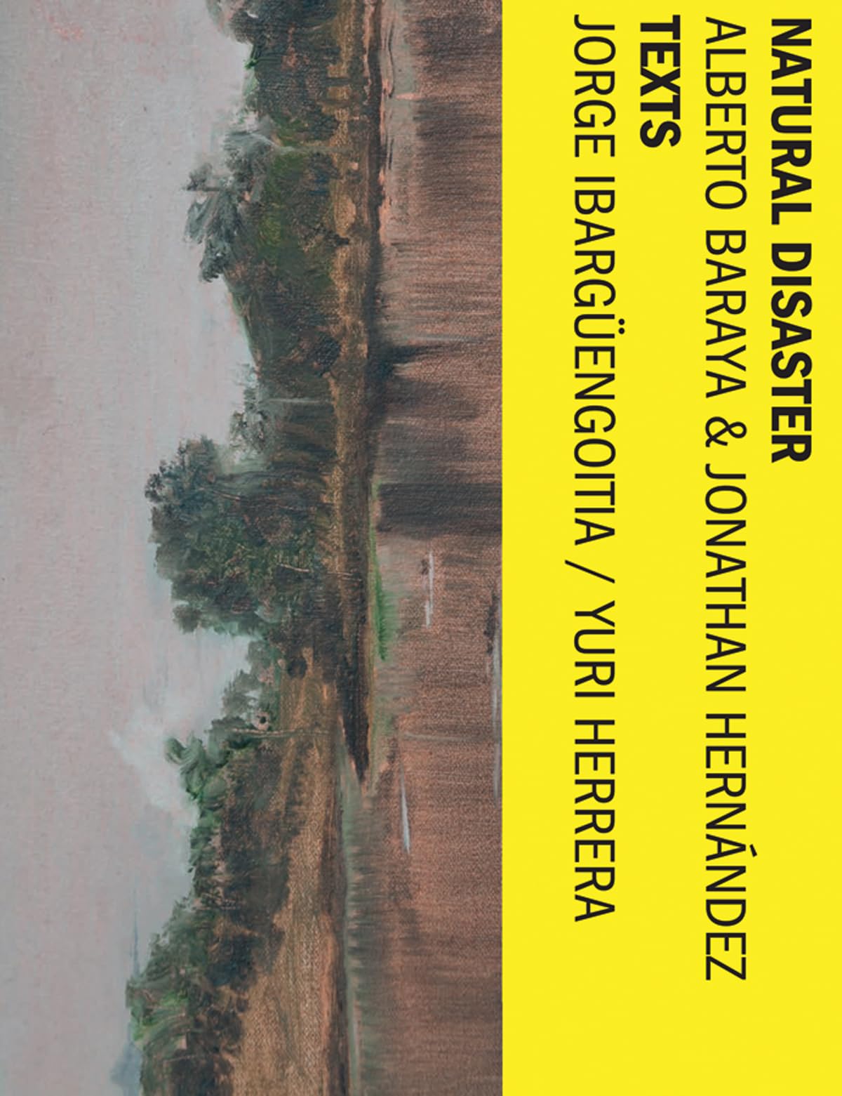 Alberto Baraya & Jonathan Hernández Natural Disaster livre relié cartonné