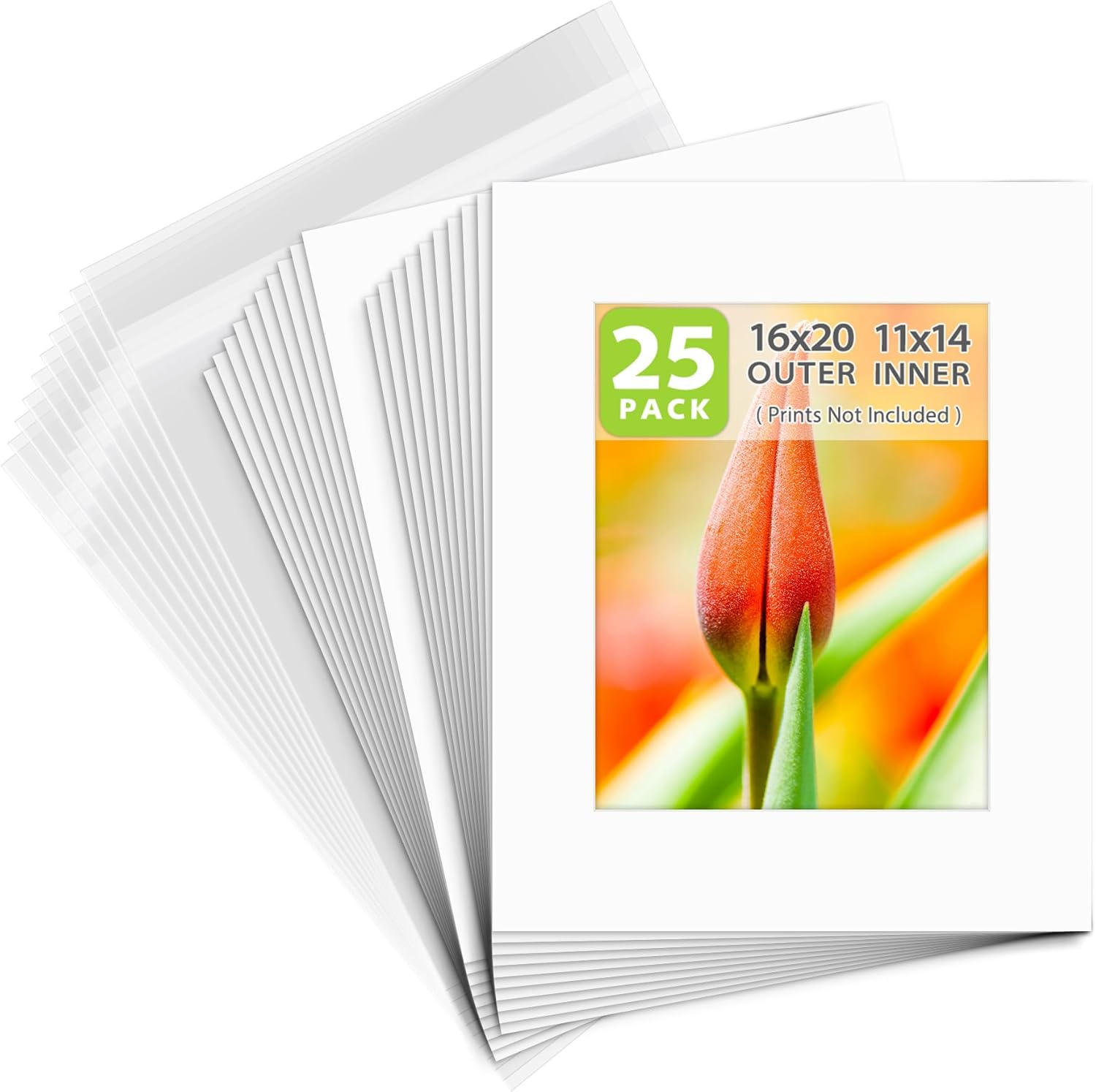 Golden State Art, White Pre-Cut 16x20 Picture Mat for 11x14 Photo with White Core Bevel Cut Mattes Sets. Includes High Premier Acid Free Mats & Backing Board & Clear Bags (25 Kit)
