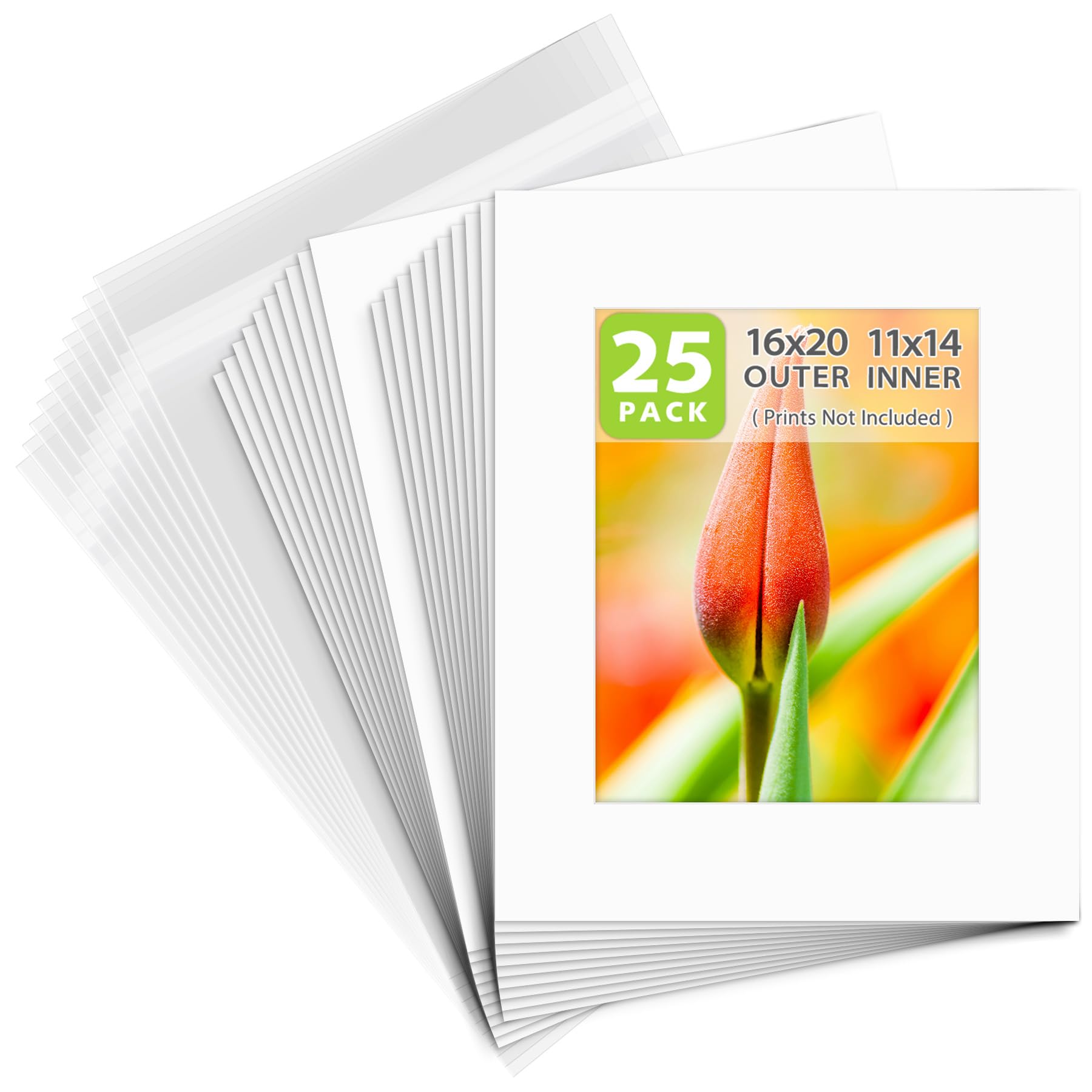 Golden State Art Pack of 25 White Pre-Cut 16x20 Picture Mat for 11x14 Photo with White Core Bevel Cut Mattes Sets. Includes 25 High Premier Acid Free Mats & 25 Backing Board & 25 Clear Bags