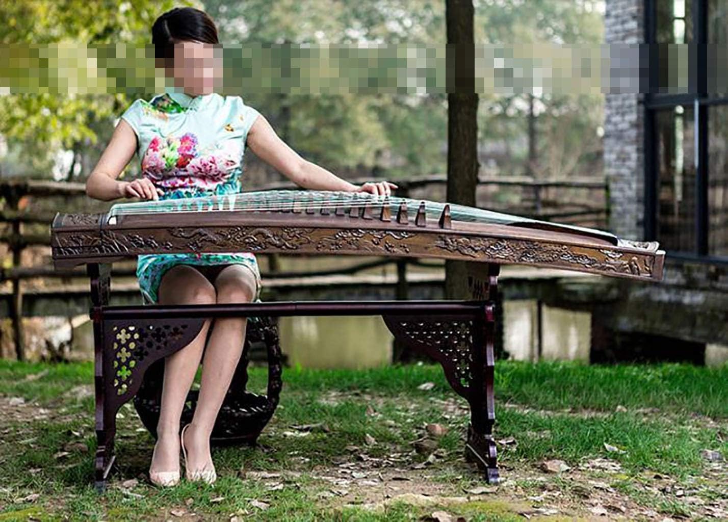 Guzheng, rozmiar: 163 cm, odpowiedni dla początkujących, profesjonalistów, praktyka wprowadzająca, chiński instrument sicalowy, z pełnym zestawem akcesoriów 421 rewelacyjny