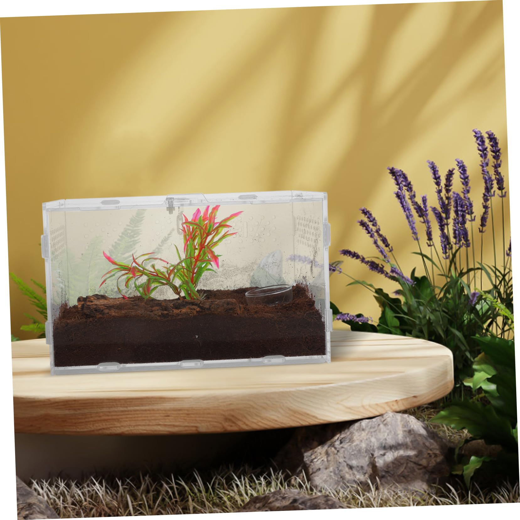 Happyyami Terrario Acrilico Trasparente per Rettili 25x15x15 Cm Ventilazione Stabile, Gabbia Habitat per Serpenti, Tarantole e Rane, Vasca Allevamento per Piccoli Animali Esotici