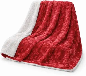 DaDa Bedding Valentine Hearts Luxury Faux Fur Red Blanket - Reversible Queen Size 90" x 90"