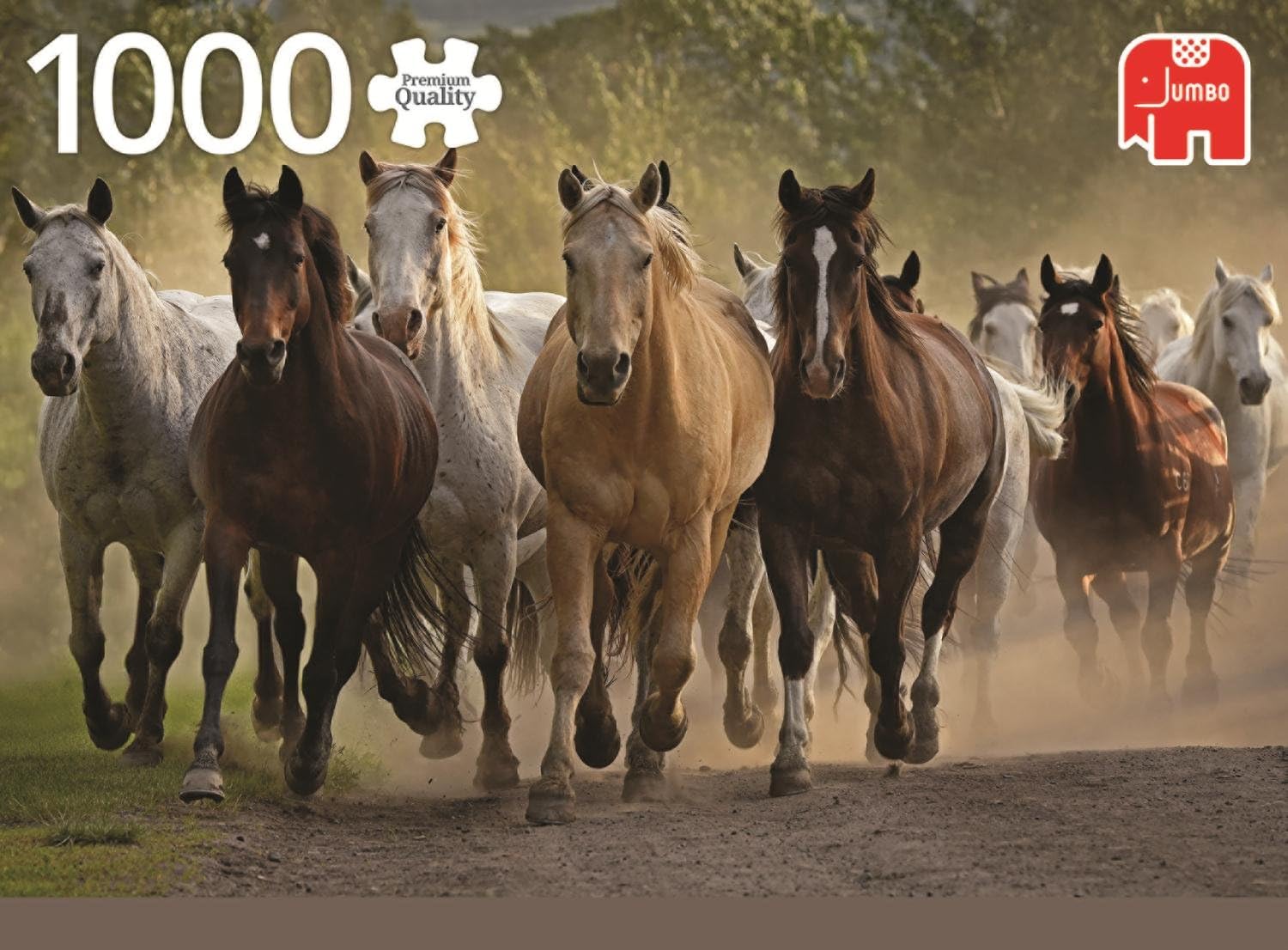Jumbo Group of Horses Jigsaw Puzzle (1000 Piece)