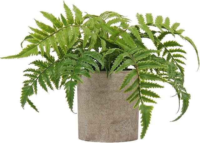 Artificial Boston Fern Plant in Pot Fake Plants Potted, Small Decorative Artificial Plants Indoor, Faux Fern Grass for Home Kitchen Table Bedroom Decorations