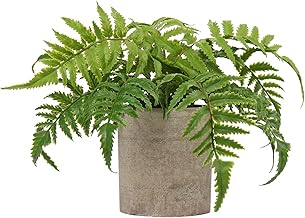 Hollyone Artificial Boston Fern Plant in Pot Fake Plants Potted, Small Decorative Artificial Plants Indoor, Faux Fern Grass for Home Kitchen Table Bedroom Decorations