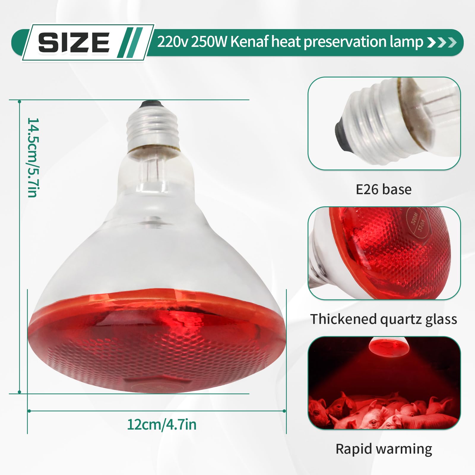 Houtokit Infrared Heat Lamp Bulb - Image 2