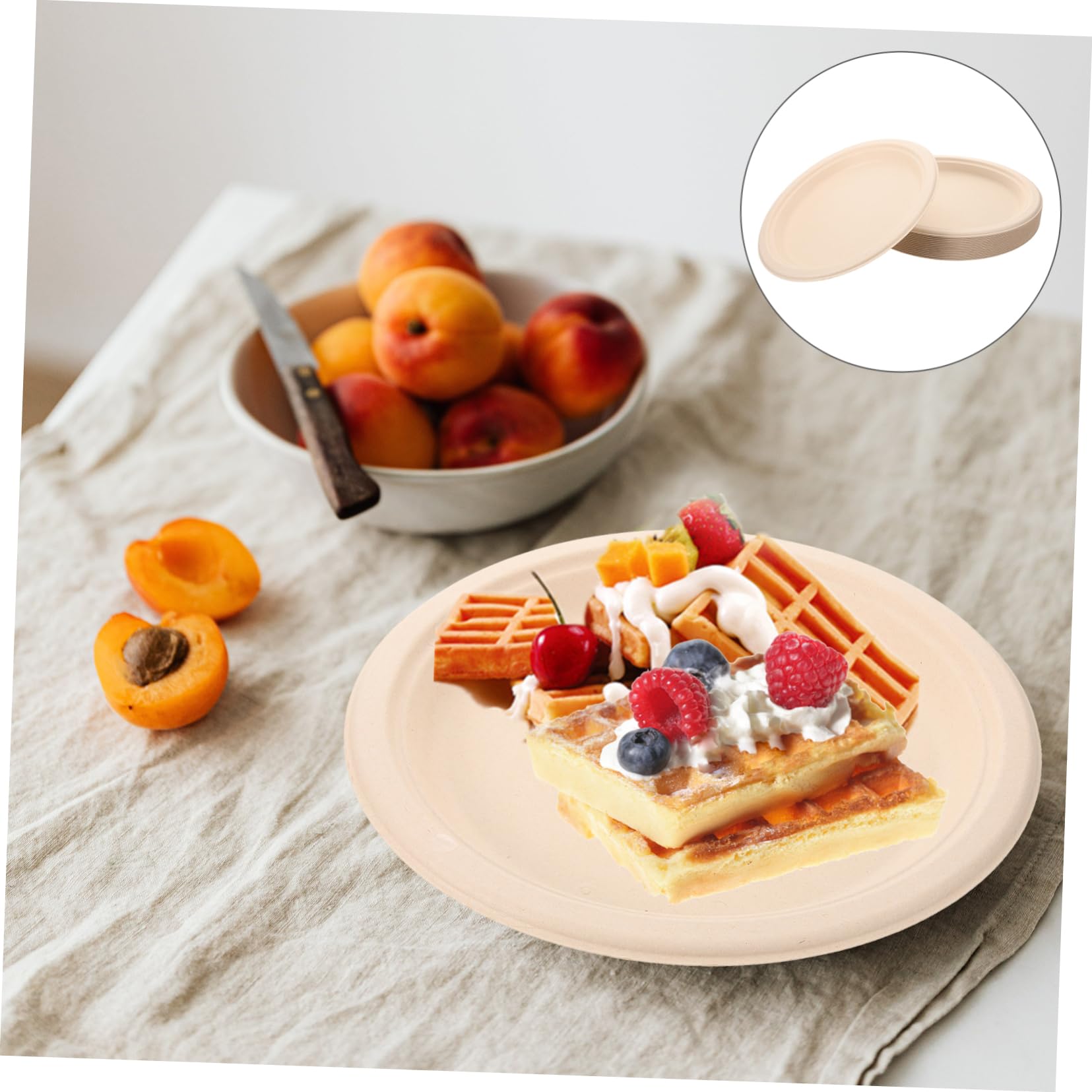 PACKOVE Pappteller aus Papier 50 Stück Stabil und Praktisch für Partys Grillabende Hochzeiten Picknicks und Desserts