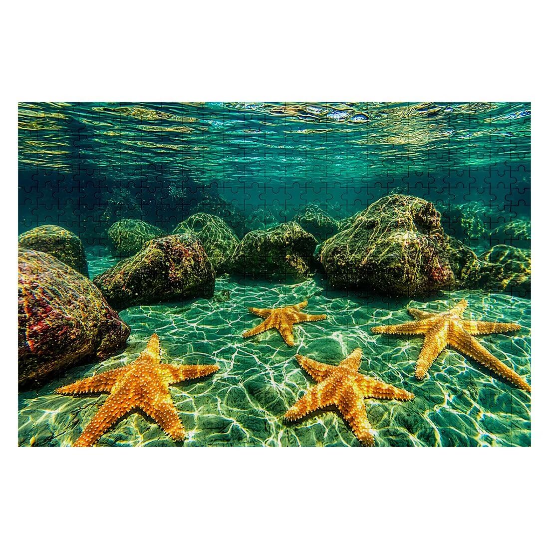 Puzzle 3000 Piezas Océano, Rompecabezas Adultos Animales, Puzzles 3000 Piezas Adultos, Rompecabezas de Madera con Caja Regalo, Puzzles Clásico para Toda la Familia para Regalos, Decor Hogar -2014