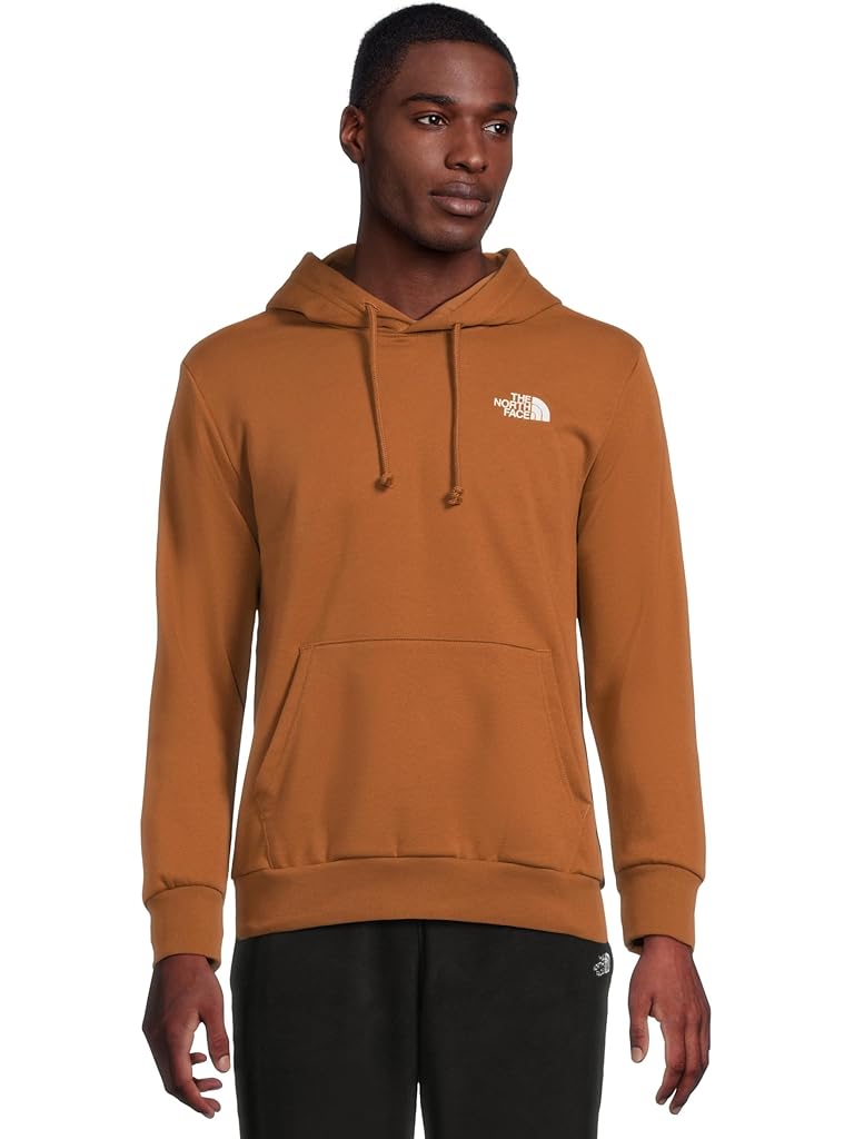 Brown The North Face Evolution Box Toss Fill Hoodie Graphic