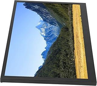 USB C Portable Monitor, 15 Inch 1440x900 Full HD IPS Screen Computer Display, Second External Monitor USB C Gaming Monitor for PS4 Laptop PC Phone