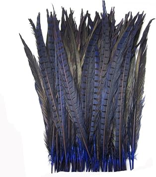 CENFRY Nature Pheasant Tails Feathers Costume Craft Decoration 12-14inch Pack of 10 Blue