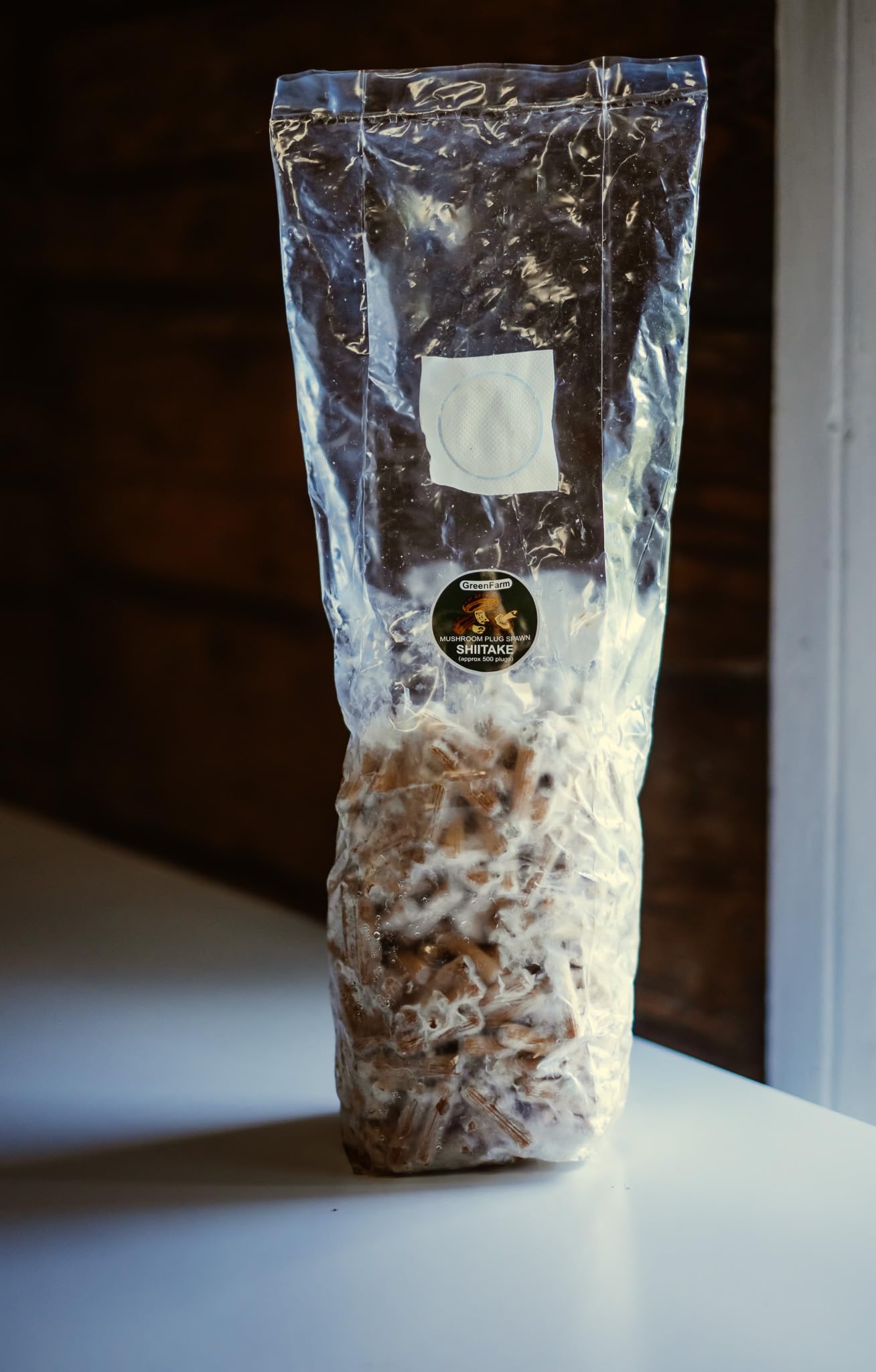 Shiitake Mushroom Plug Spawn cultiver des champignons sur log 500 dowels