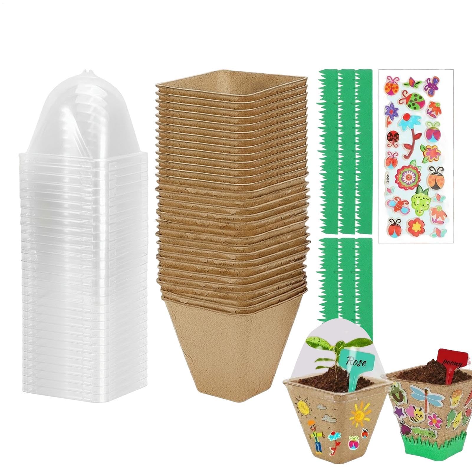 Kit De Plantación Para Niños Juego De Jardinería STEM