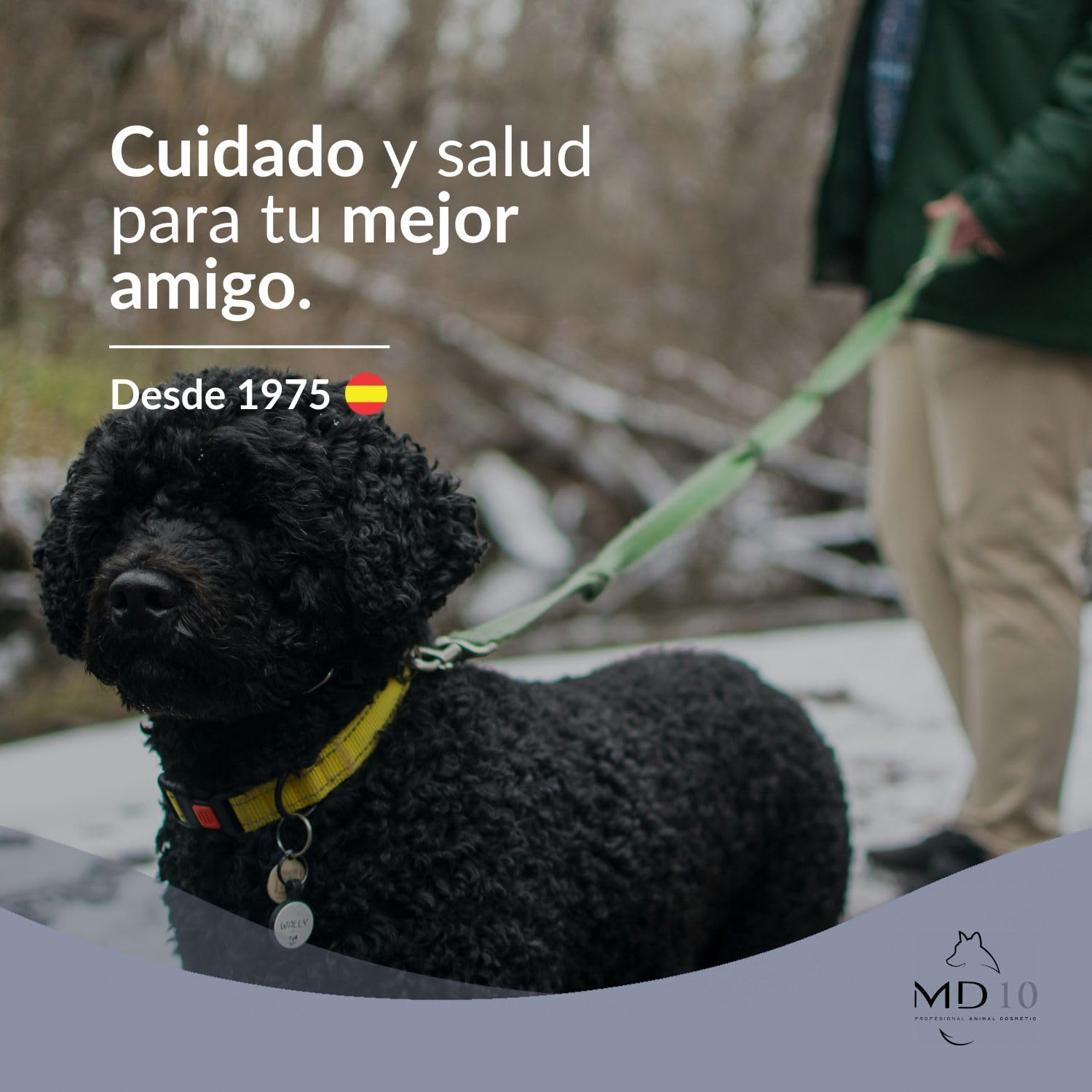 Hundeshampoo Gegen Geruch-Hundeshampoo Schwarze Haar-Hundeshampoo gegen juckreiz-Hunde Shampoo fellpflege Spanischer Wasserhund-Hunde Conditioner-Hund langhaar-Fell Conditioner Spanischer Wasserhund