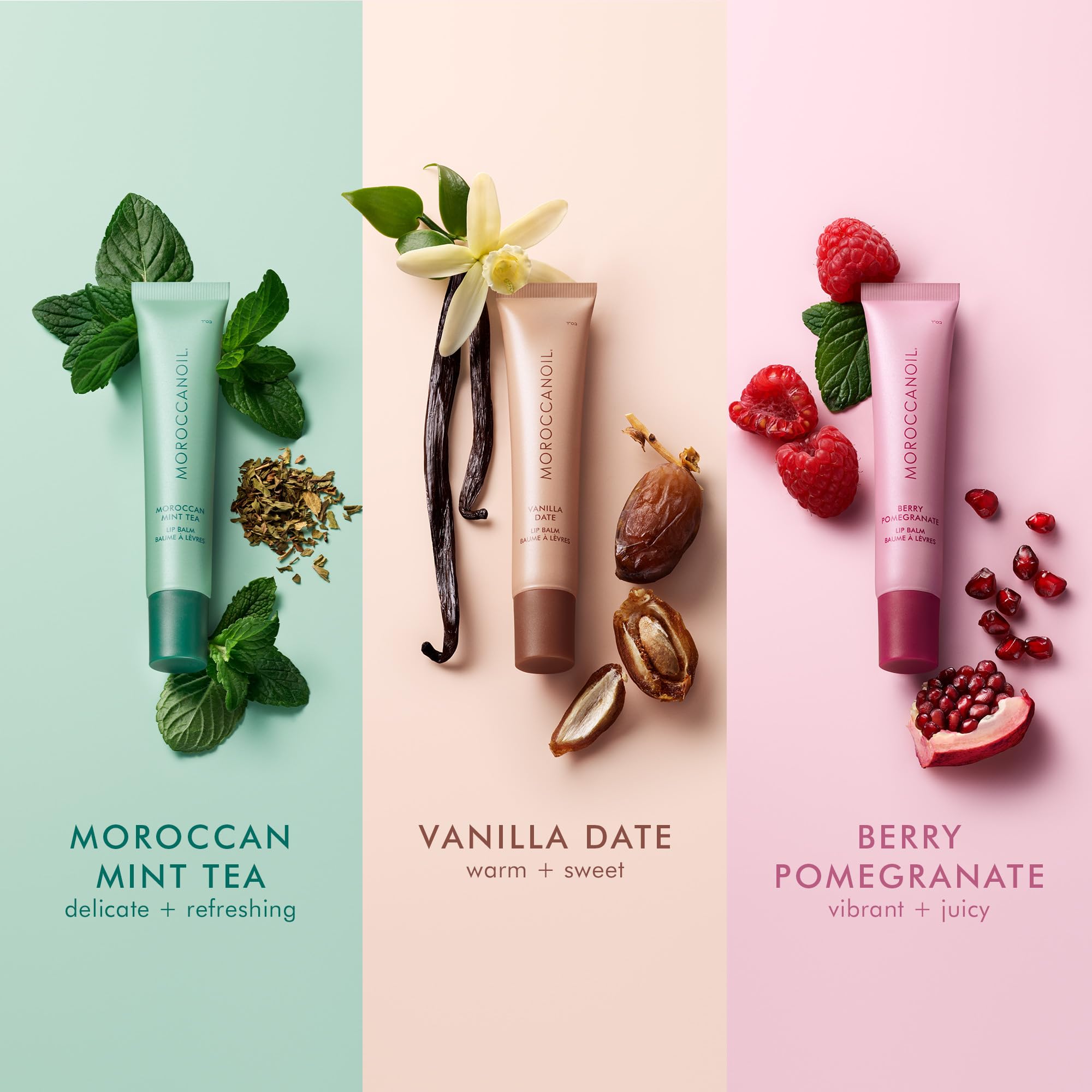 Moroccanoil Lippenbalsam-Bundle