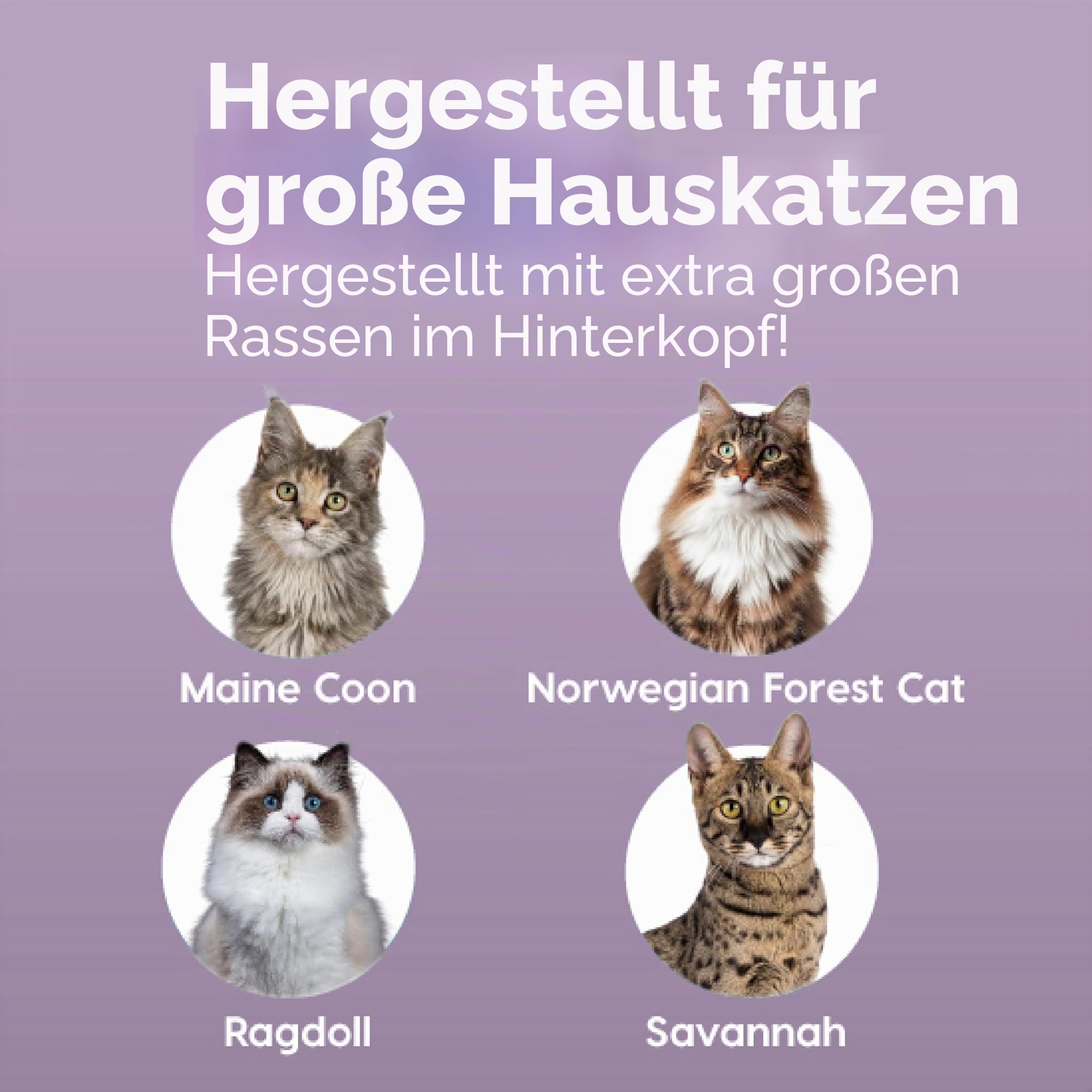 Iris Ohyama, XXL Katzenklo, Katzentoilette Hoher Rand, Schwarz, Großes Katzenklo, Abnehmbare Ränder, Auslaufschutz, Einfache Reinigung, Für Große Katzen, Zwei Katzen, Maine Coon, BPA-frei – CLH-XL